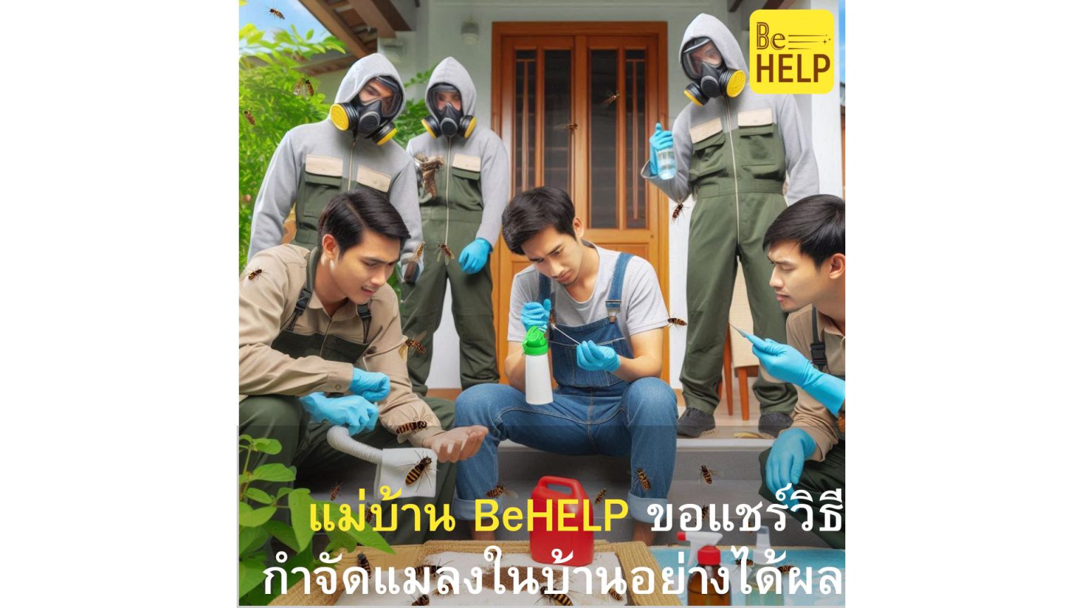 แม่บ้านมืออาชีพ BeHELP ขอแชร์วิธีกำจัดแมลงในบ้านอย่างปลอดภัยและได้ผล